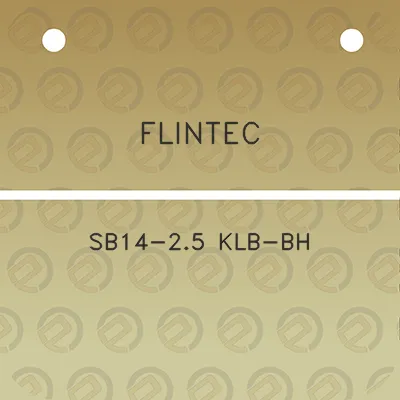 flintec-sb14-25-klb-bh