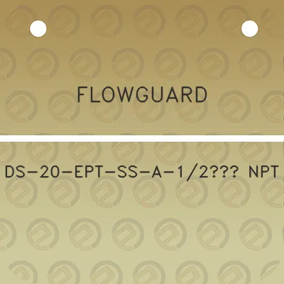 flowguard-ds-20-ept-ss-a-12-npt