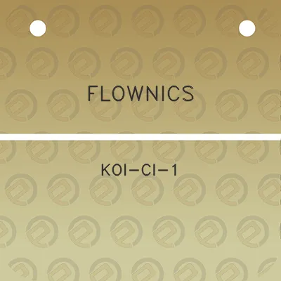 flownics-koi-ci-1