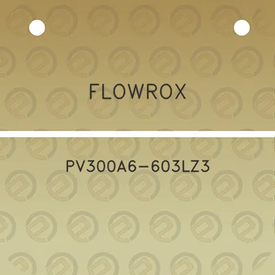 flowrox-pv300a6-603lz3