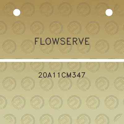 flowserve-20a11cm347