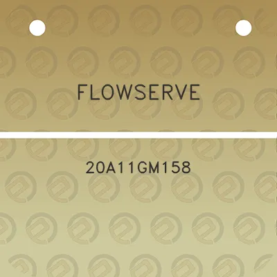 flowserve-20a11gm158