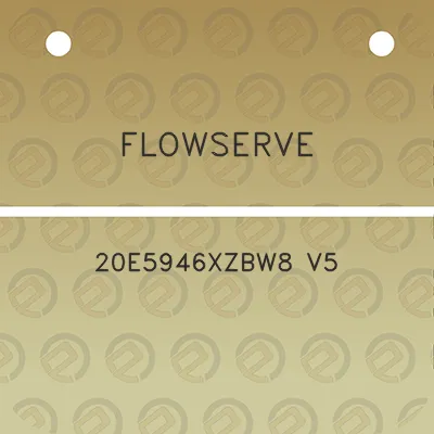 flowserve-20e5946xzbw8-v5