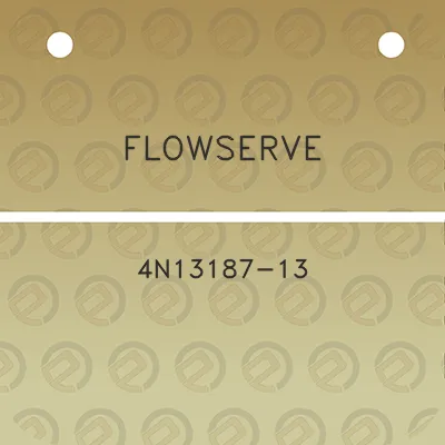 flowserve-4n13187-13