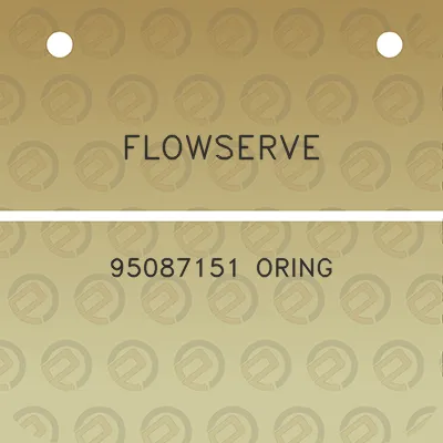 flowserve-95087151-oring