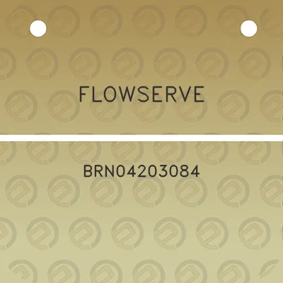 flowserve-brn04203084