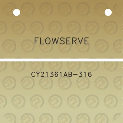 flowserve-cy21361ab-316