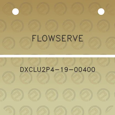 flowserve-dxclu2p4-19-00400