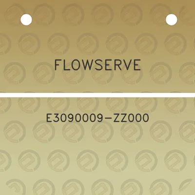 flowserve-e3090009-zz000