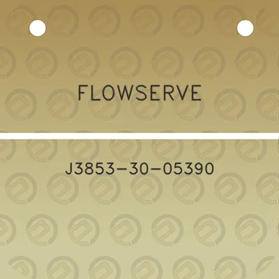 flowserve-j3853-30-05390