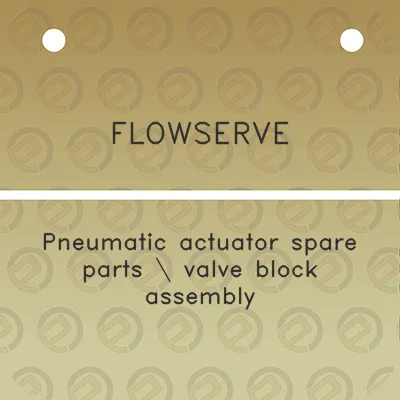 flowserve-pneumatic-actuator-spare-parts-valve-block-assembly