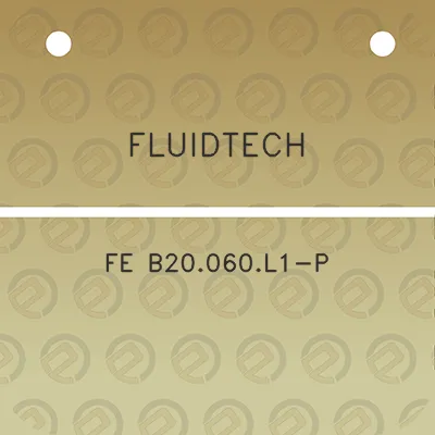 fluidtech-fe-b20060l1-p