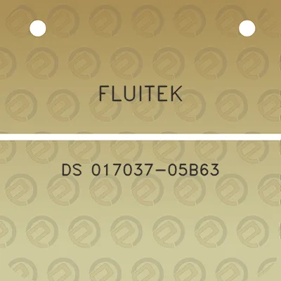 fluitek-ds-017037-05b63