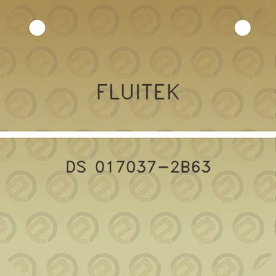 fluitek-ds-017037-2b63