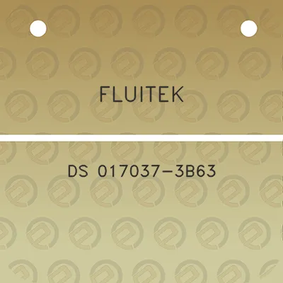 fluitek-ds-017037-3b63