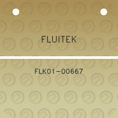 fluitek-flk01-00667