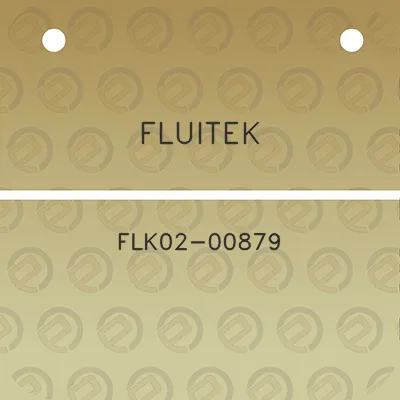 fluitek-flk02-00879