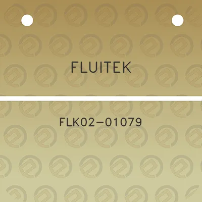 fluitek-flk02-01079