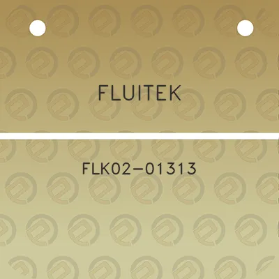 fluitek-flk02-01313