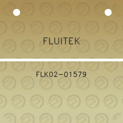 fluitek-flk02-01579