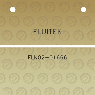 fluitek-flk02-01666