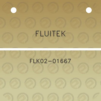 fluitek-flk02-01667