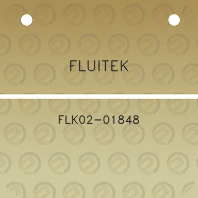 fluitek-flk02-01848