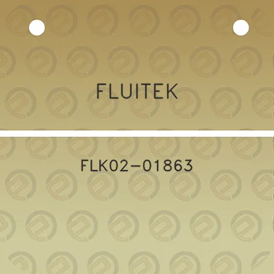 fluitek-flk02-01863