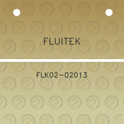 fluitek-flk02-02013