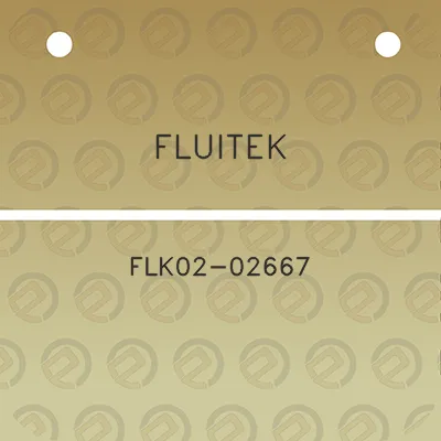 fluitek-flk02-02667