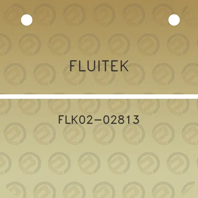 fluitek-flk02-02813