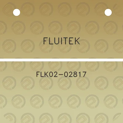 fluitek-flk02-02817