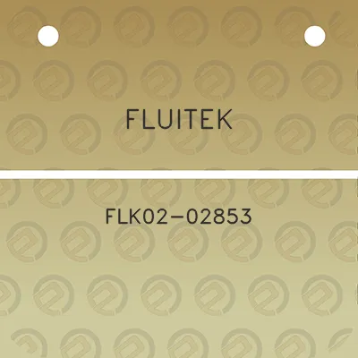 fluitek-flk02-02853