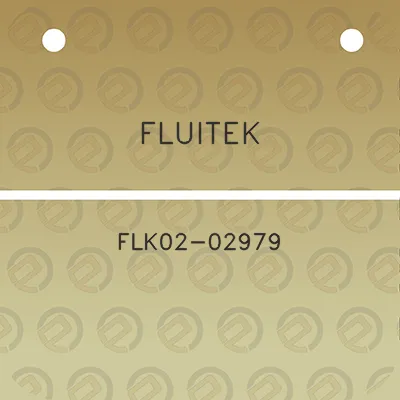 fluitek-flk02-02979