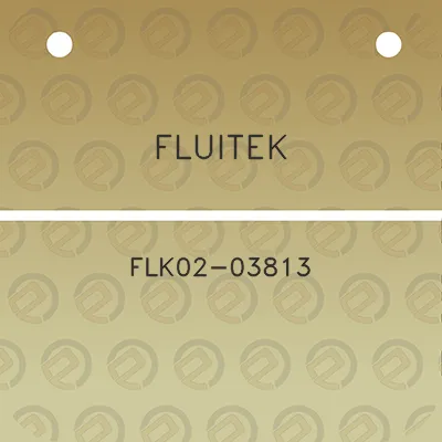 fluitek-flk02-03813