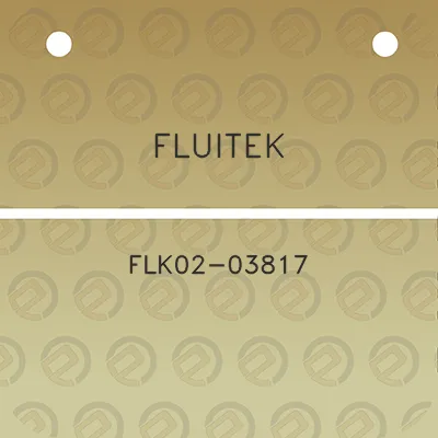 fluitek-flk02-03817