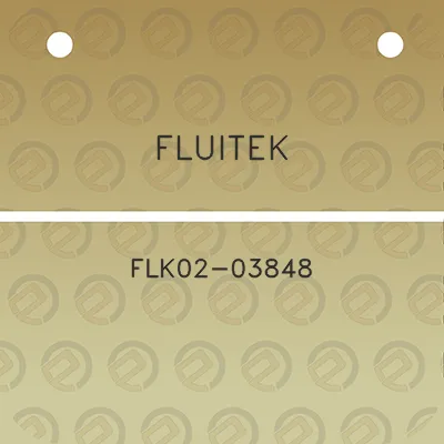 fluitek-flk02-03848