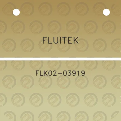 fluitek-flk02-03919