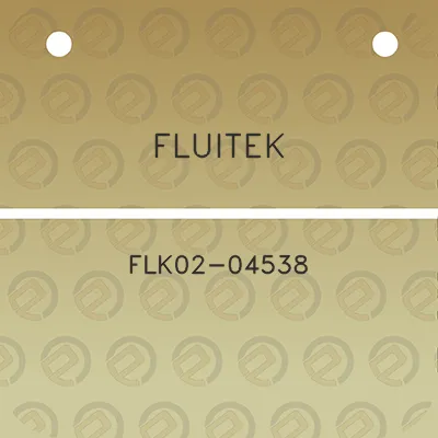 fluitek-flk02-04538