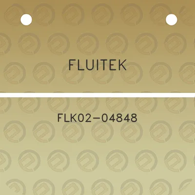 fluitek-flk02-04848