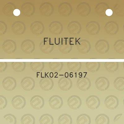 fluitek-flk02-06197