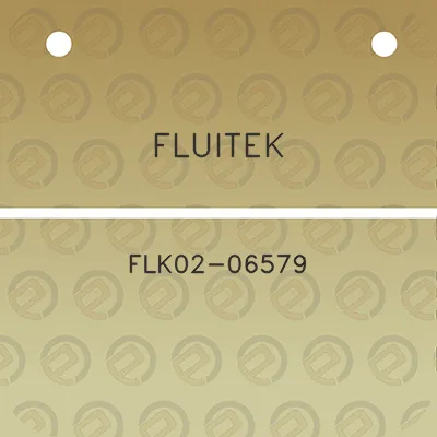 fluitek-flk02-06579