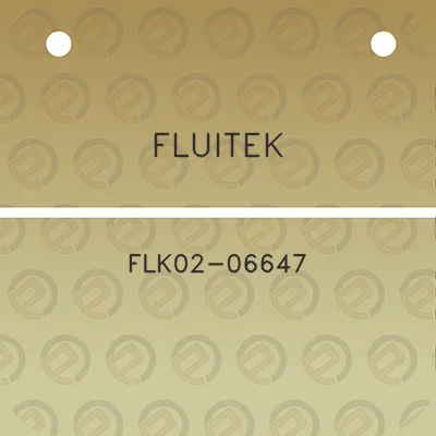 fluitek-flk02-06647