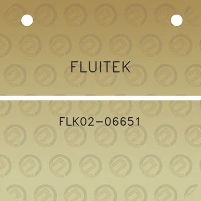 fluitek-flk02-06651