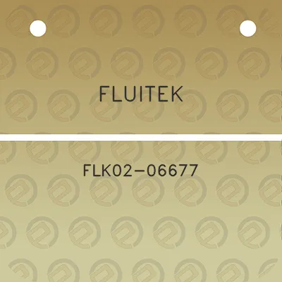 fluitek-flk02-06677