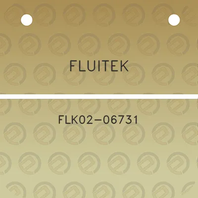 fluitek-flk02-06731