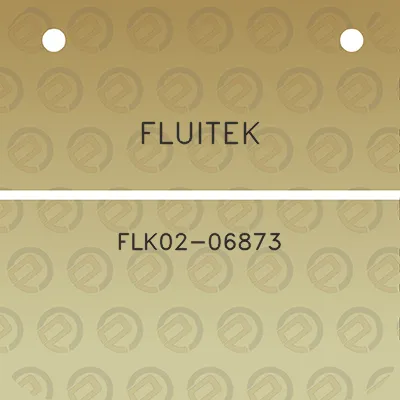 fluitek-flk02-06873