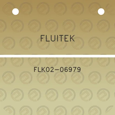 fluitek-flk02-06979