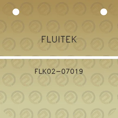 fluitek-flk02-07019