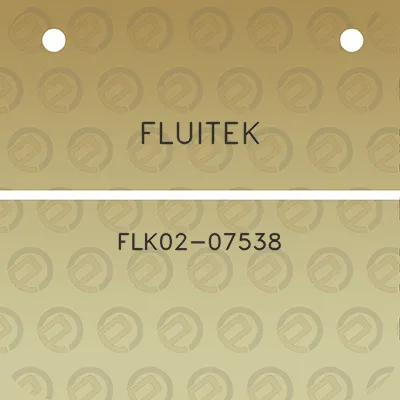 fluitek-flk02-07538